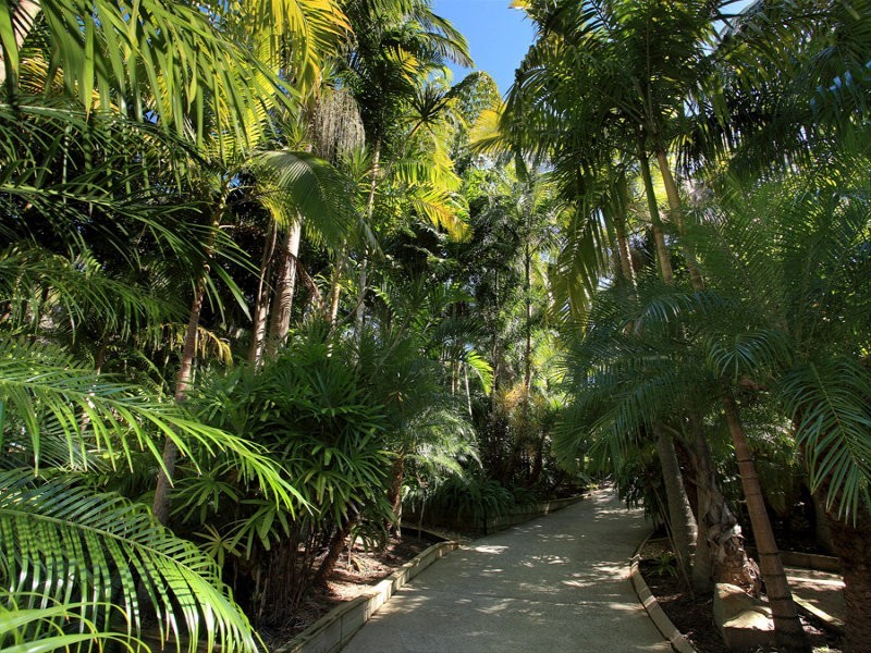 10 Mountridge Close, Kiels Mountain QLD 4559