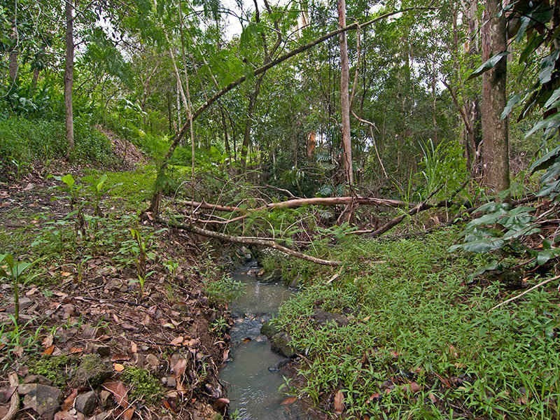 107 Jacksons Road, West Woombye QLD 4559
