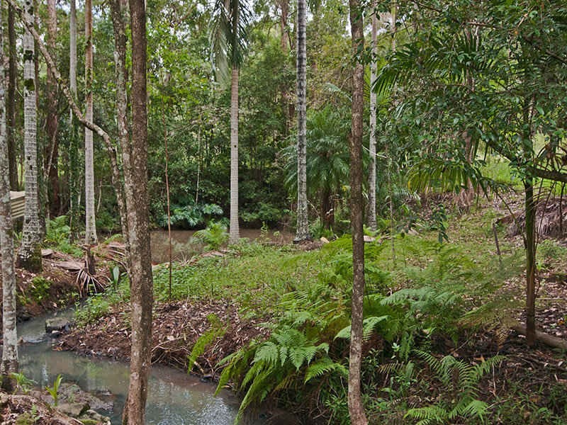 107 Jacksons Road, West Woombye QLD 4559