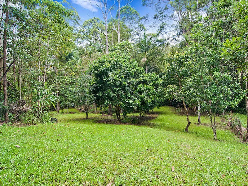 107 Jacksons Road, West Woombye QLD 4559