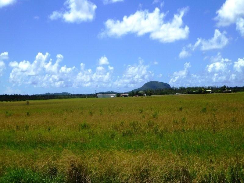 919 Yandina Coolum Road, Valdora QLD 4561