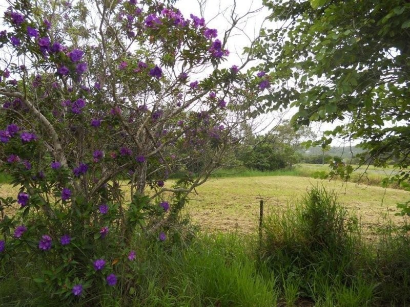 438 Petrie Creek Road, Rosemount QLD 4560