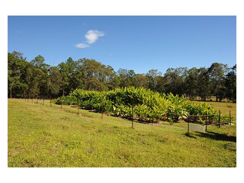 40 Pathara Road, North Arm QLD 4561