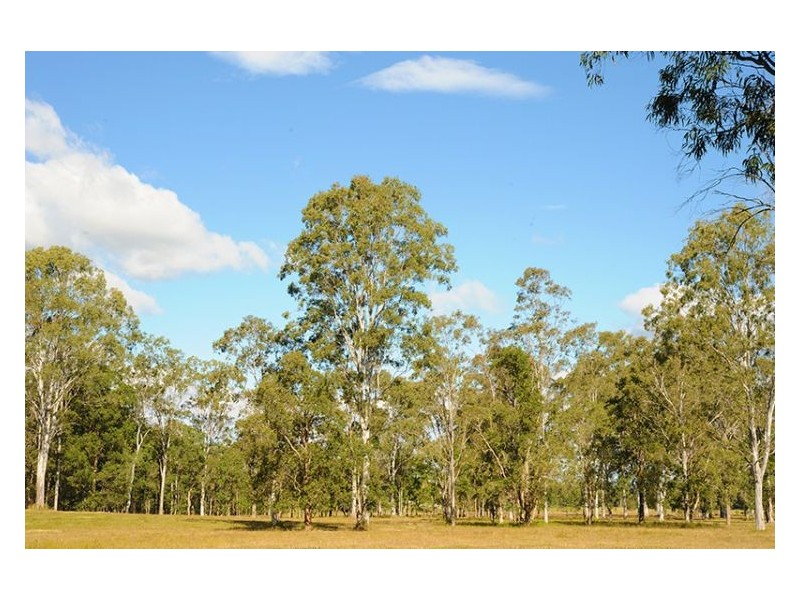 40 Pathara Road, North Arm QLD 4561