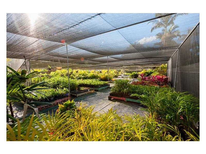 305 Petrie Creek Road, Rosemount QLD 4560