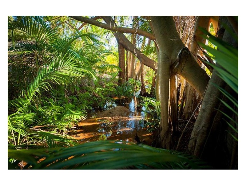 305 Petrie Creek Road, Rosemount QLD 4560