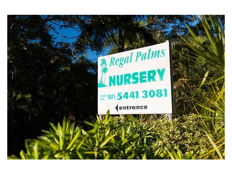 305 Petrie Creek Road, Rosemount QLD 4560