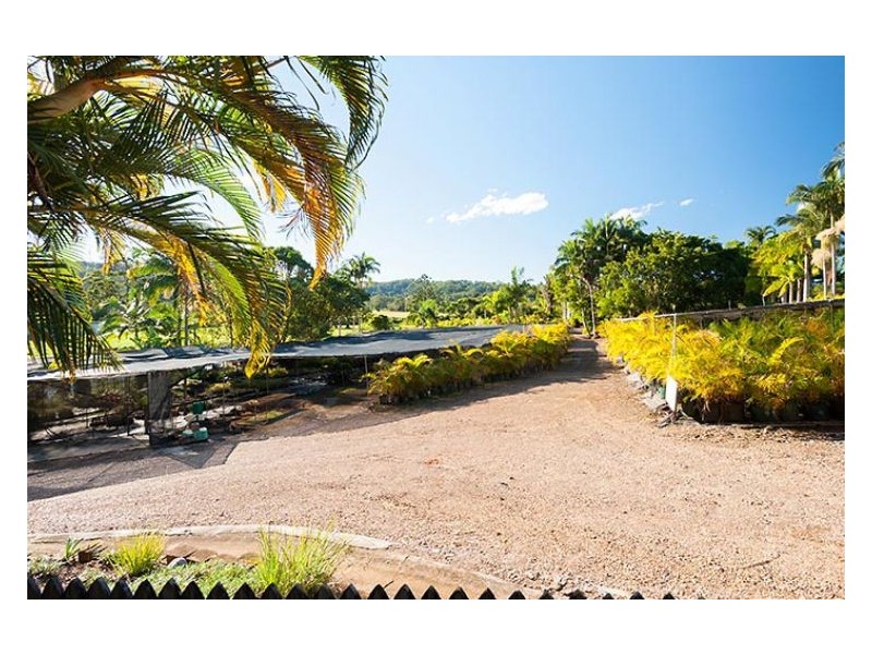 305 Petrie Creek Road, Rosemount QLD 4560