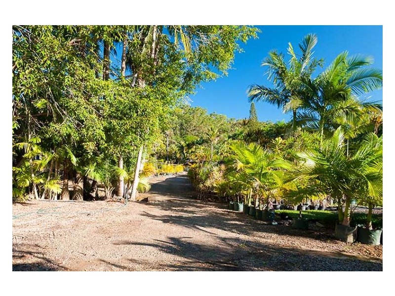 305 Petrie Creek Road, Rosemount QLD 4560