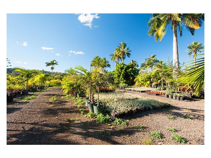 305 Petrie Creek Road, Rosemount QLD 4560