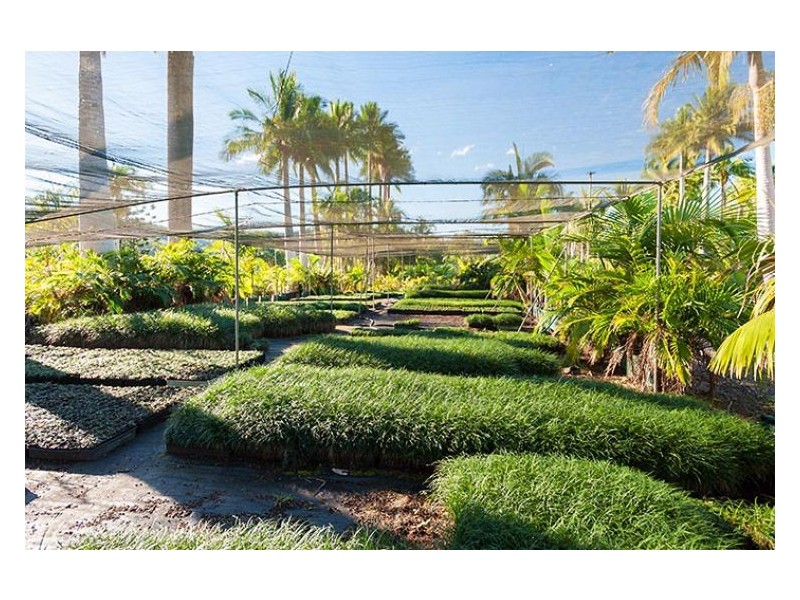 305 Petrie Creek Road, Rosemount QLD 4560