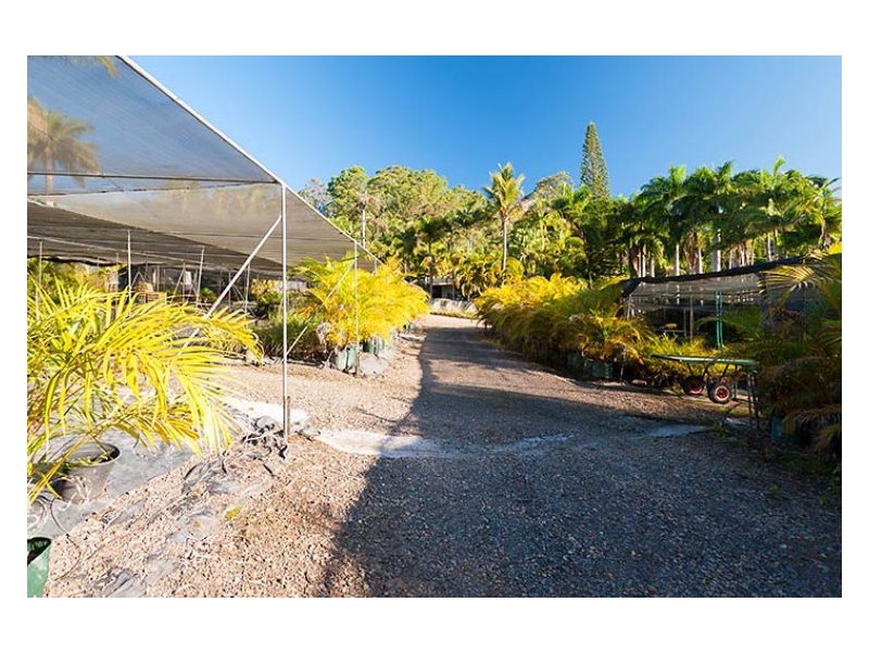 305 Petrie Creek Road, Rosemount QLD 4560