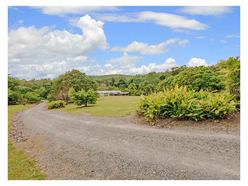48 Roys Road, Palmwoods QLD 4555