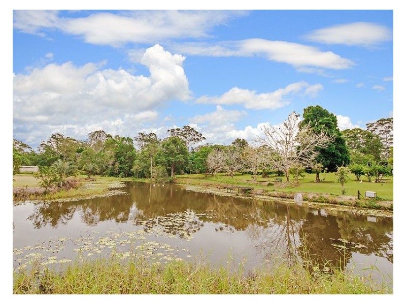 48 Roys Road, Palmwoods QLD 4555