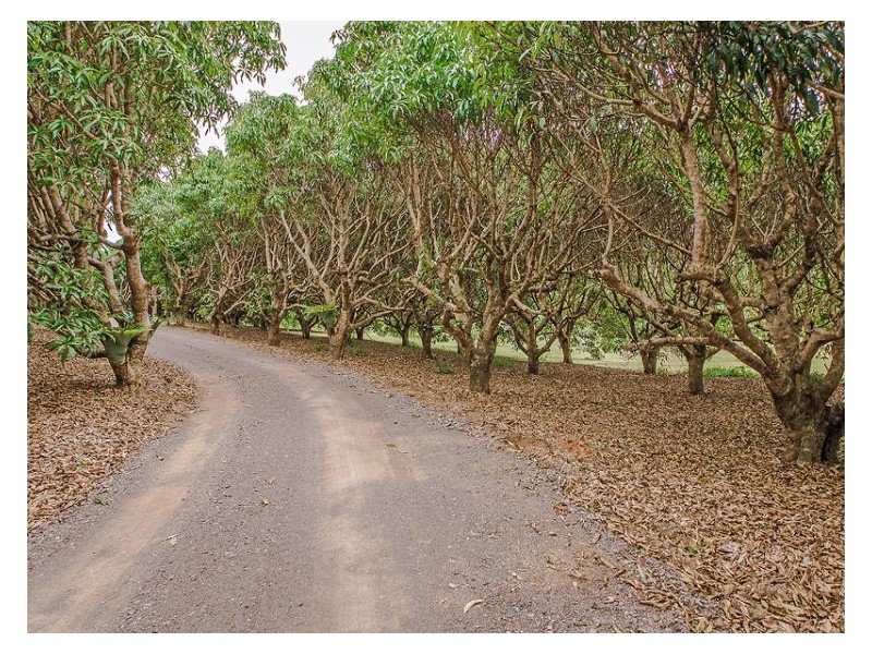 48 Roys Road, Palmwoods QLD 4555