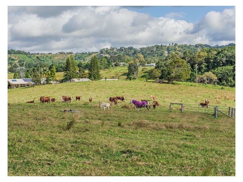 56 Dulong School Road, Dulong QLD 4560