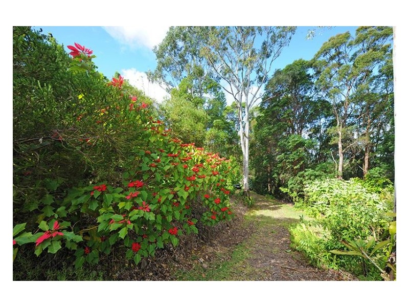 40 Elouera Drive, Ninderry QLD 4561