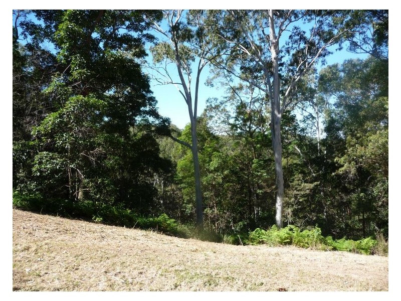 65 Elouera Drive, Ninderry QLD 4561