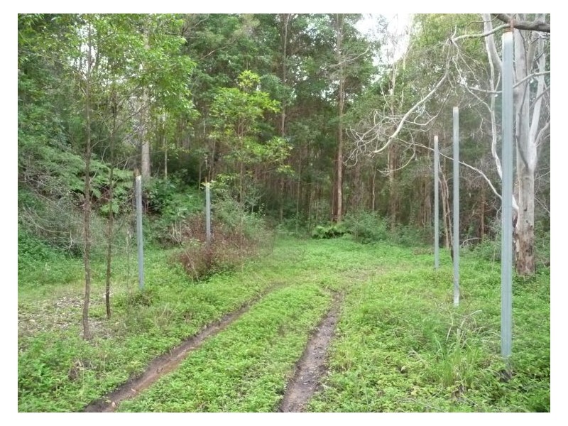 65 Elouera Drive, Ninderry QLD 4561