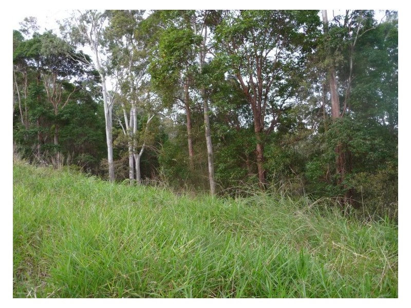 65 Elouera Drive, Ninderry QLD 4561