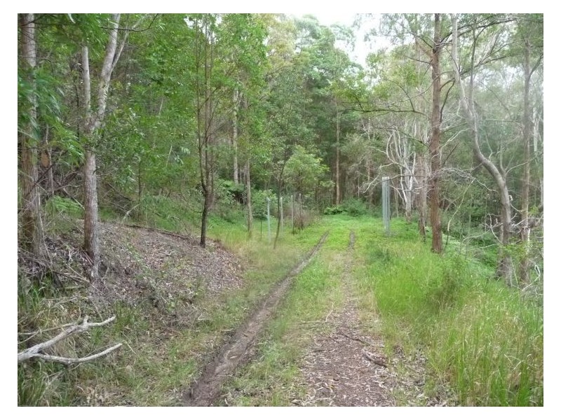 65 Elouera Drive, Ninderry QLD 4561