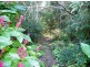 201 Windsor Road, Nambour QLD 4560