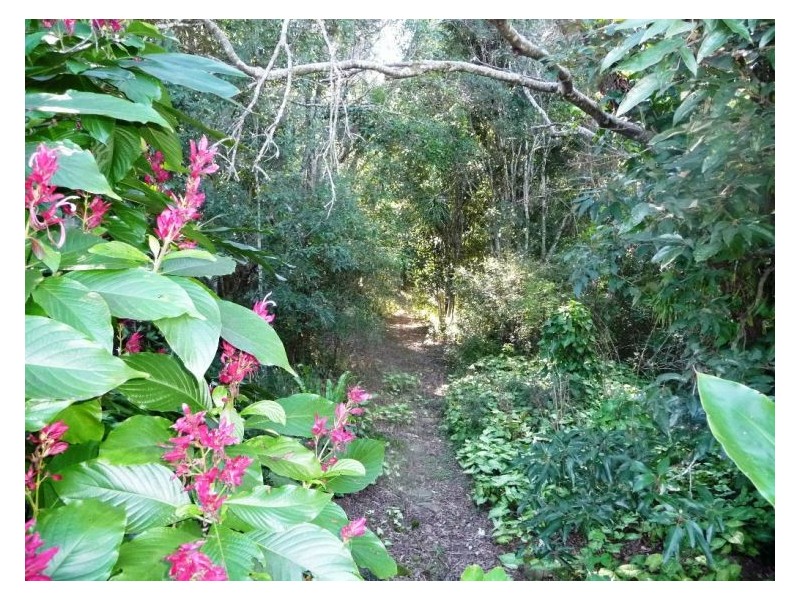 201 Windsor Road, Nambour QLD 4560