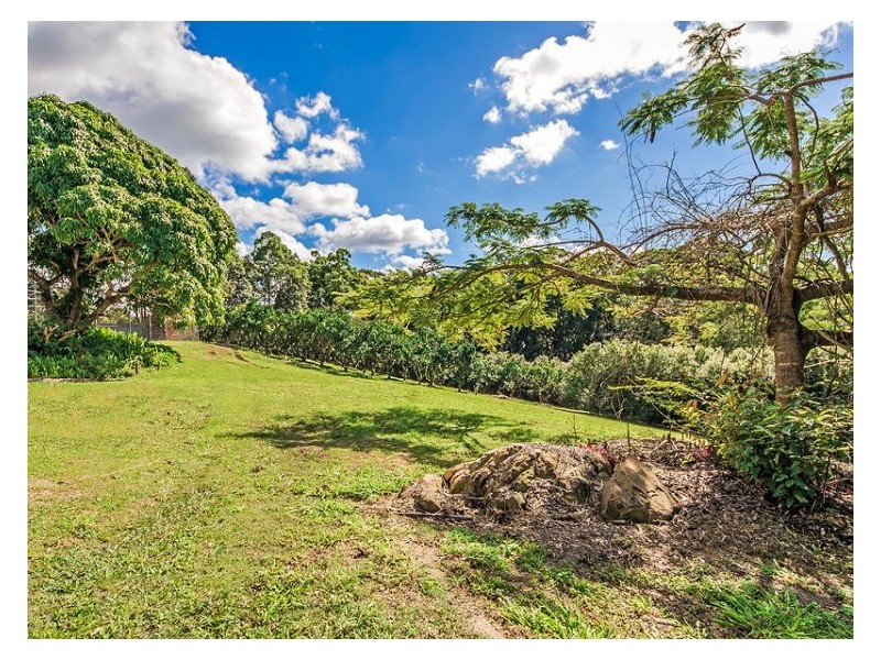 31 Needham Court, Kiels Mountain QLD 4559