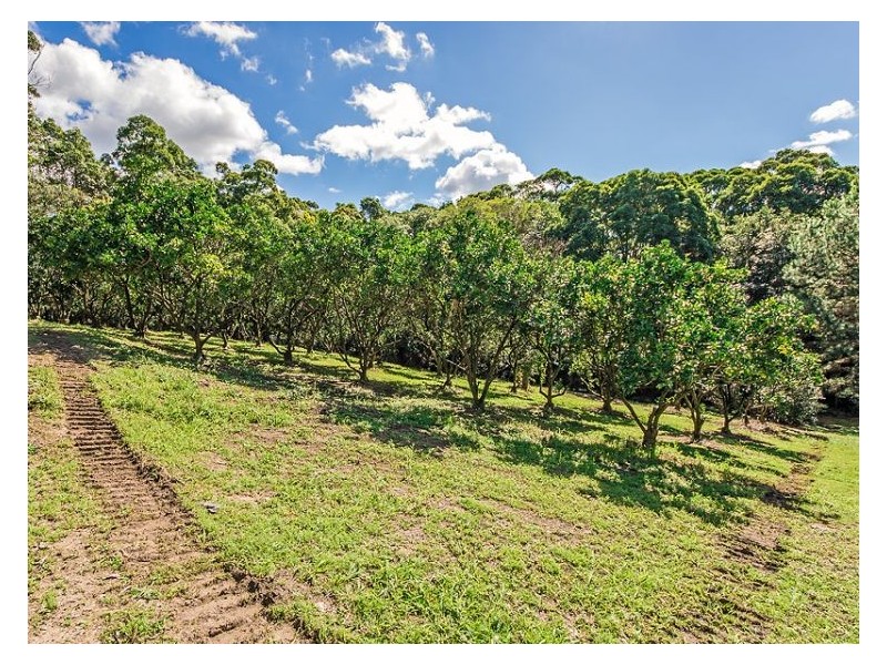 31 Needham Court, Kiels Mountain QLD 4559