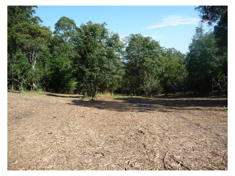 31 Needham Court, Kiels Mountain QLD 4559