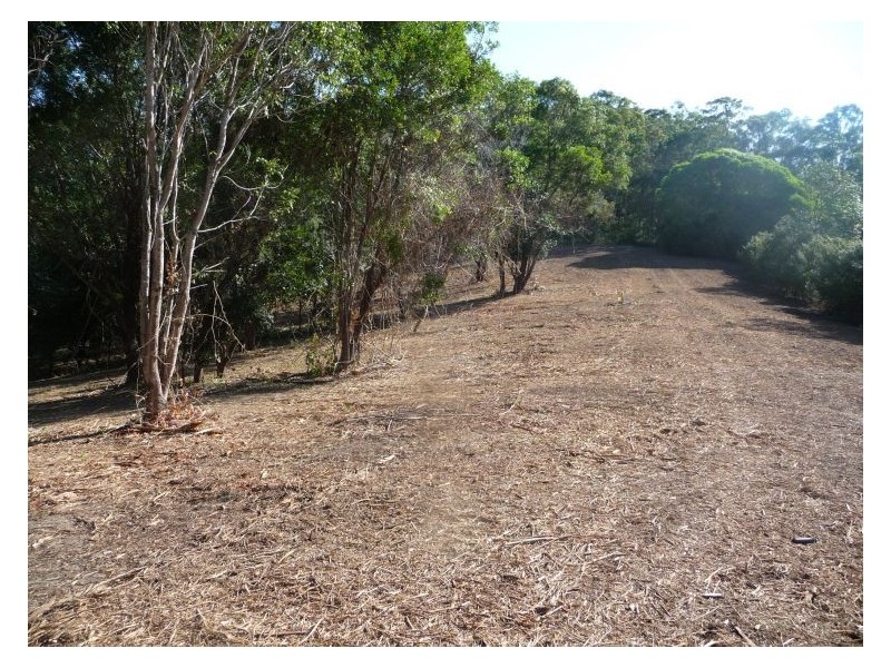 31 Needham Court, Kiels Mountain QLD 4559