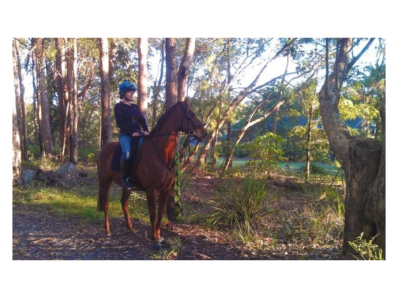 249 Connection Road, Mooloolah Valley QLD 4553