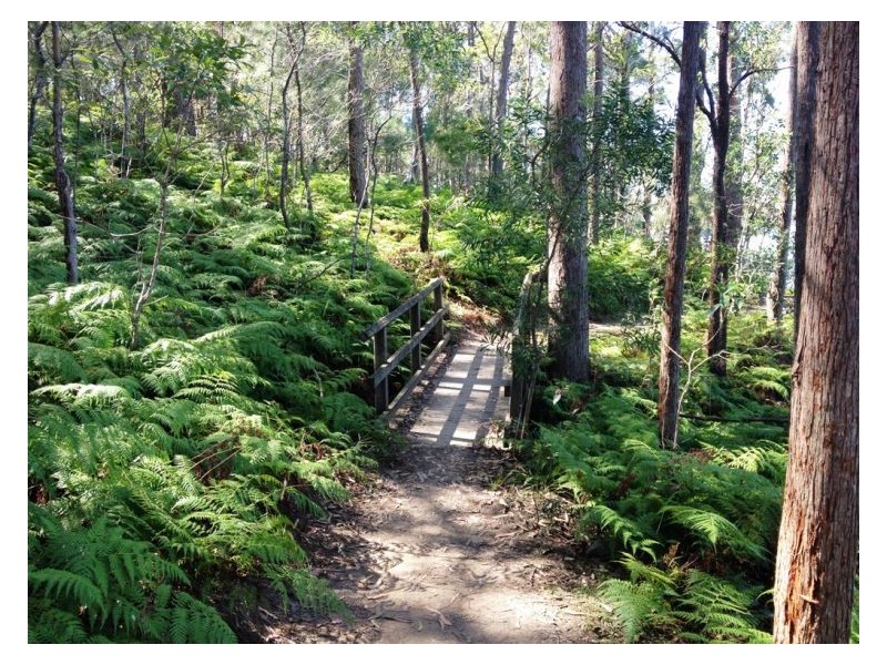 249 Connection Road, Mooloolah Valley QLD 4553