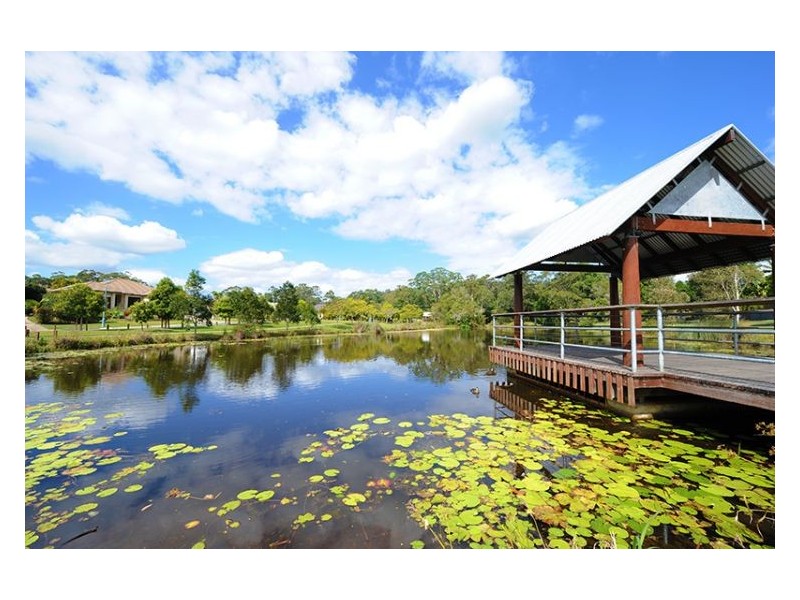 6 Red Jacket Court, Palmwoods QLD 4555