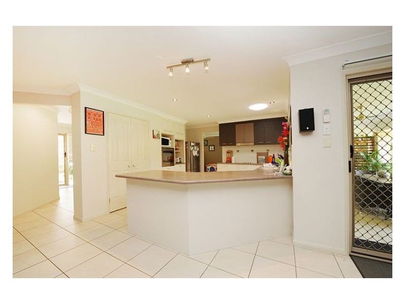 6 Red Jacket Court, Palmwoods QLD 4555