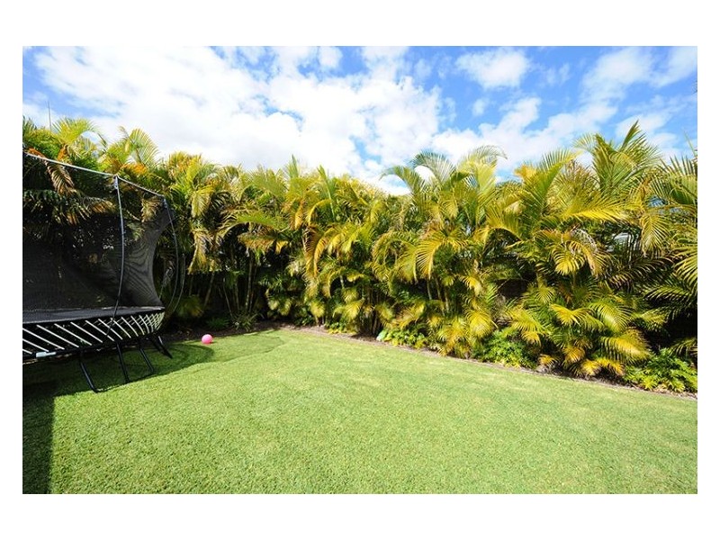 6 Red Jacket Court, Palmwoods QLD 4555