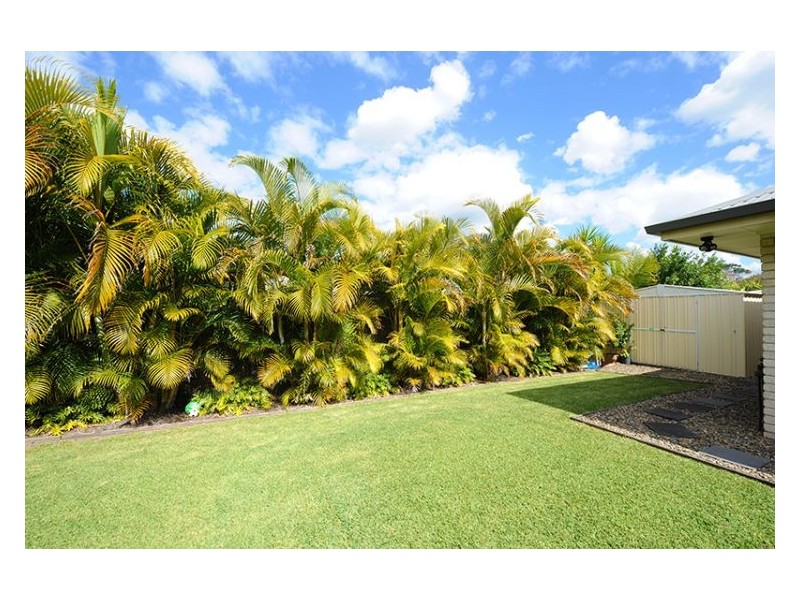 6 Red Jacket Court, Palmwoods QLD 4555