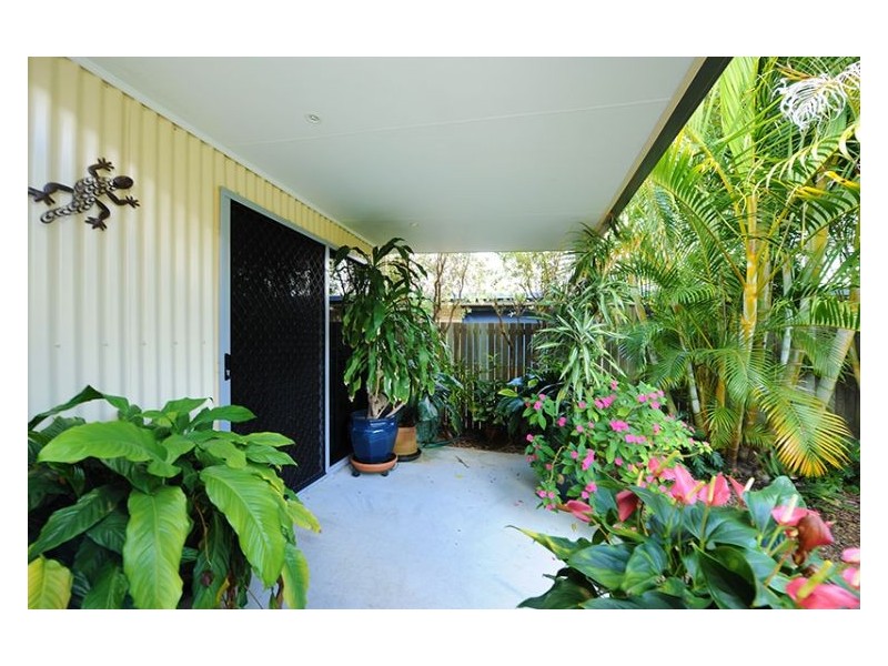 6 Red Jacket Court, Palmwoods QLD 4555