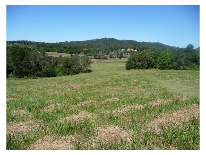81 Pringle Road, Rosemount QLD 4560
