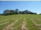 81 Pringle Road, Rosemount QLD 4560