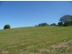 81 Pringle Road, Rosemount QLD 4560
