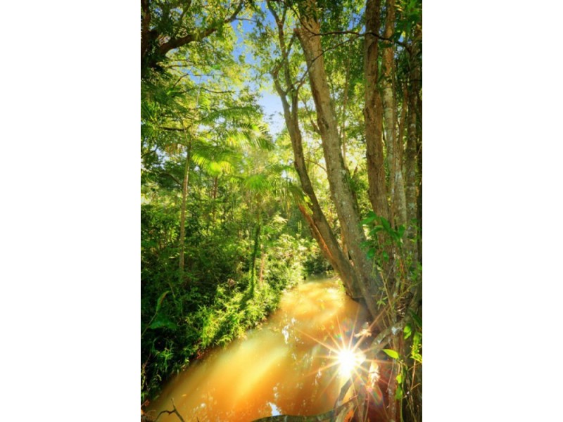 38-79 Mountain View Court, Yandina QLD 4561