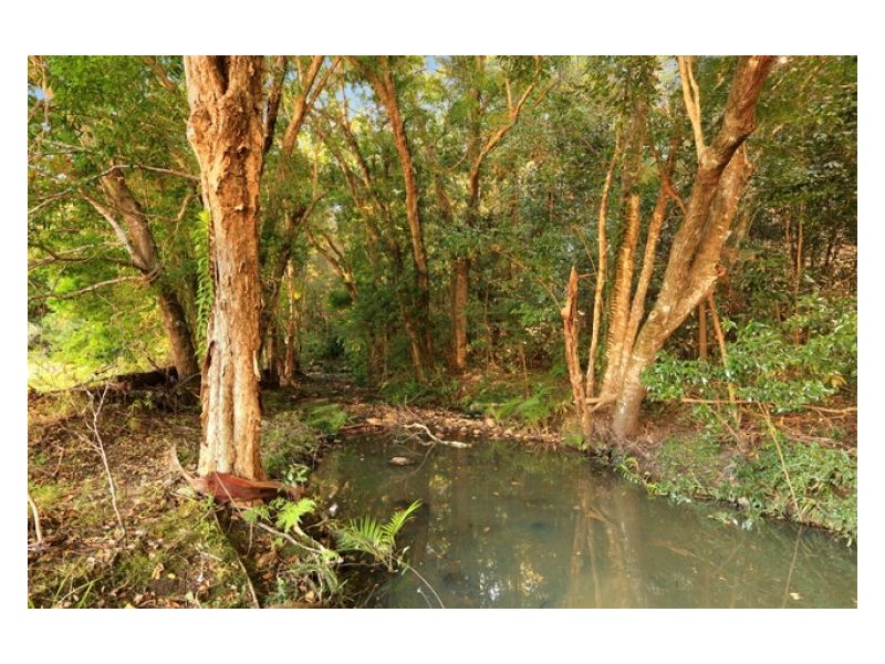 38-79 Mountain View Court, Yandina QLD 4561