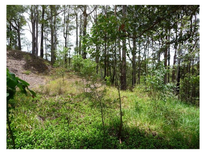 1 Monscott Place, Forest Glen QLD 4556