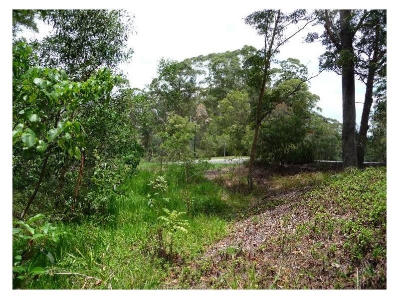 1 Monscott Place, Forest Glen QLD 4556
