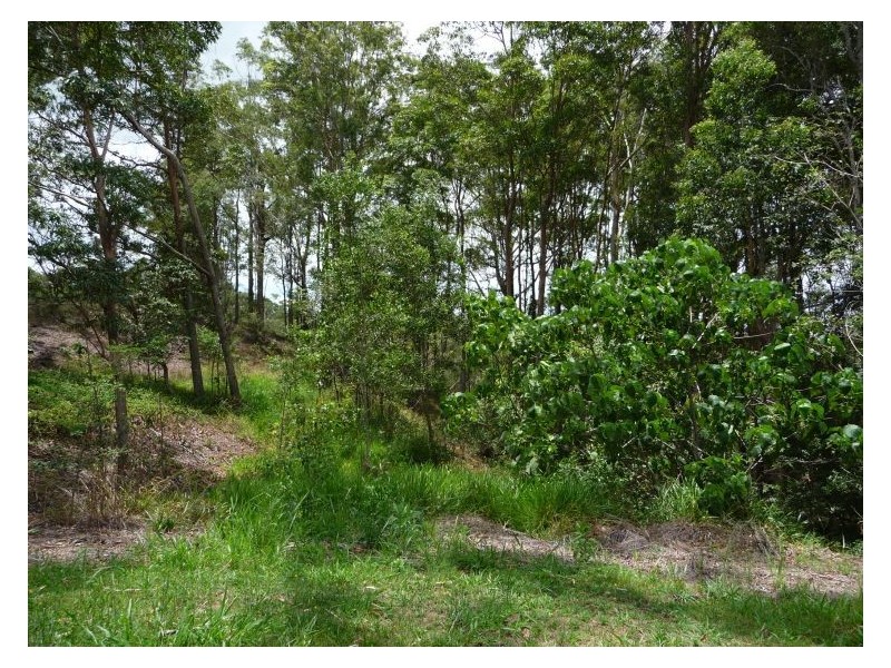 1 Monscott Place, Forest Glen QLD 4556