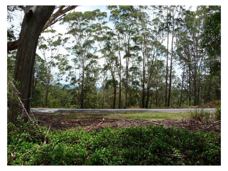 1 Monscott Place, Forest Glen QLD 4556
