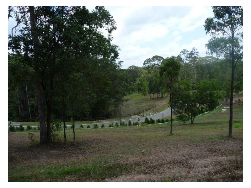 Lot 4 Fernhill Place, Diddillibah QLD 4559