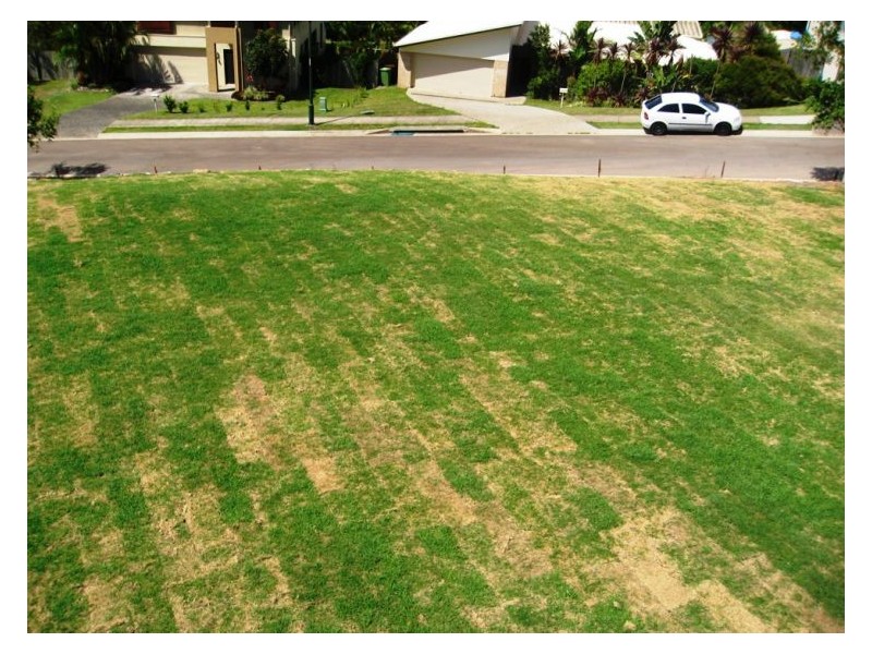 48 Sam White Drive, Buderim QLD 4556