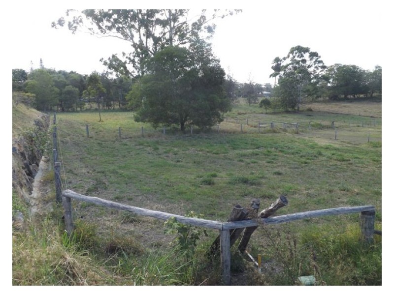 1 Vyner Court, Forest Glen QLD 4556
